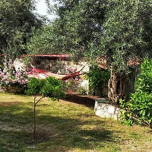 Filoxenia - The Place Of Experience Albanië